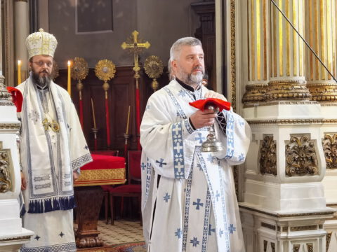 IMG_20230819_104534_resize