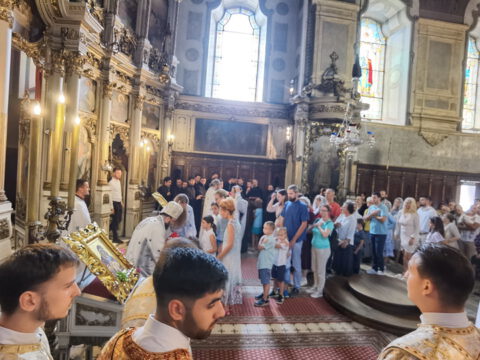 IMG_20230819_104609_resize