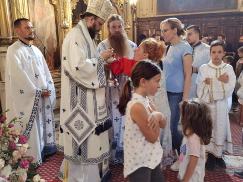 IMG_20230819_104622_resize