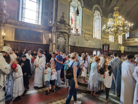 IMG_20230819_104638_resize