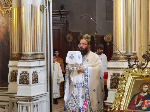 IMG_20230819_105708_resize