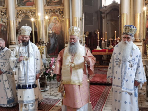 IMG_20230819_105934_resize