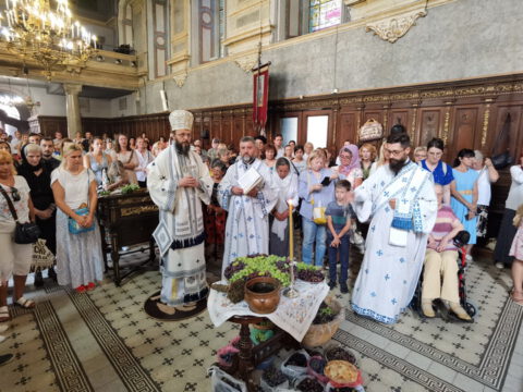 IMG_20230819_110042_resize