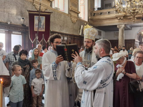 IMG_20230819_110218_resize