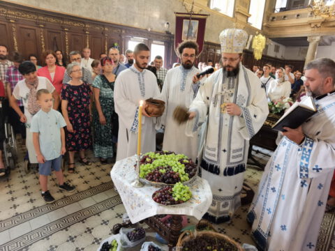 IMG_20230819_110336_resize