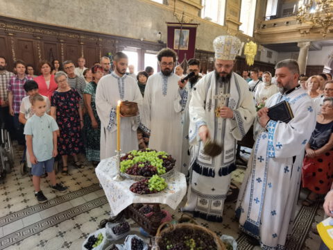 IMG_20230819_110350_resize