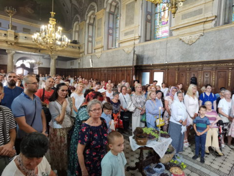 IMG_20230819_110840_resize