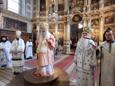 IMG_20230819_110902_resize