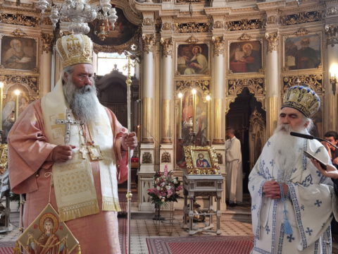 IMG_20230819_111149_resize