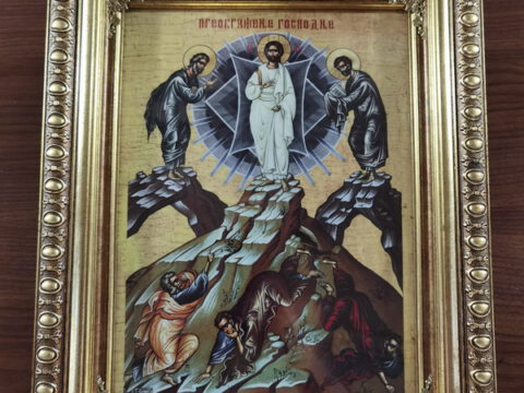 IMG_20230820_085049_resize