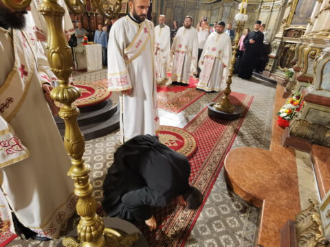 IMG_20230820_085623_resize