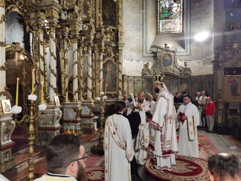 IMG_20230820_090000_resize