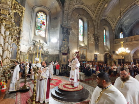 IMG_20230820_090630_resize