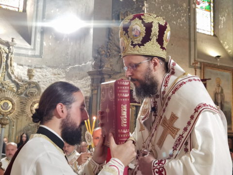 IMG_20230820_092002_resize