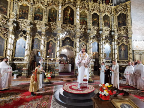 IMG_20230820_092108_resize