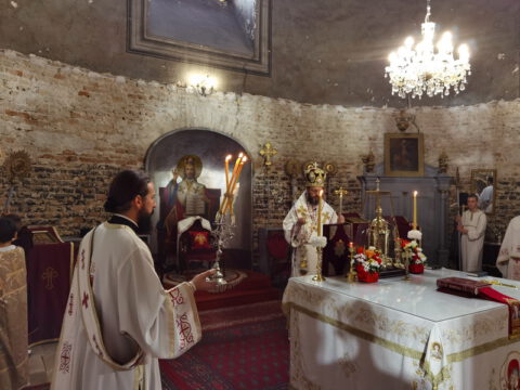 IMG_20230820_092206_resize