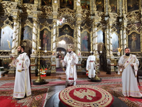 IMG_20230820_092319_resize