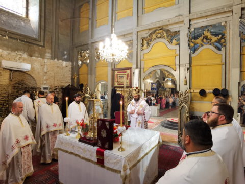 IMG_20230820_092437_resize