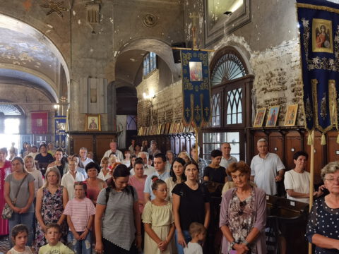 IMG_20230820_092654_resize