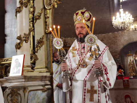 IMG_20230820_093255_resize