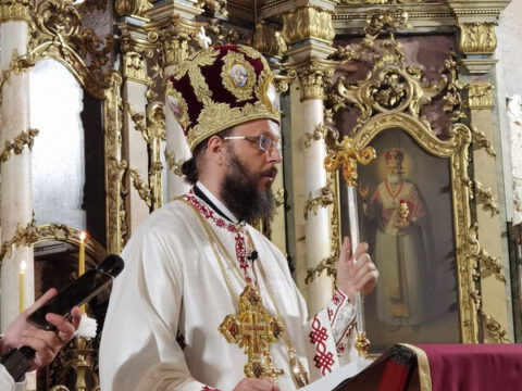 IMG_20230820_094619_resize