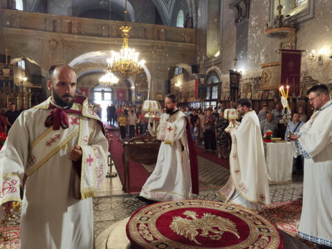 IMG_20230820_100926_resize