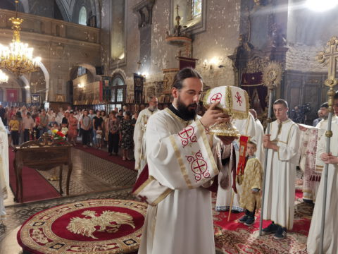 IMG_20230820_100935_resize