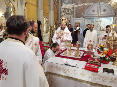 IMG_20230820_103316_resize