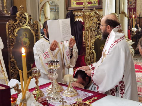 IMG_20230820_103528_resize