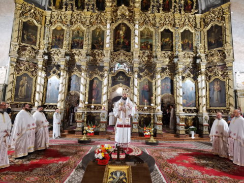 IMG_20230820_110957_resize