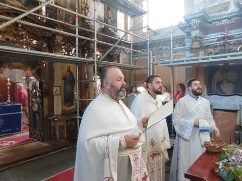 IMG_20230827_103529_resize