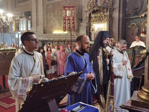 IMG_20230828_083957_resize