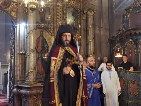 IMG_20230828_084146_resize