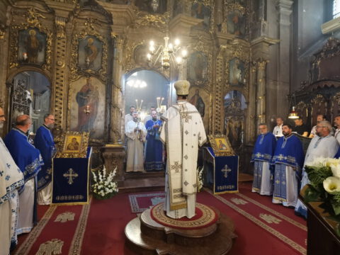 IMG_20230828_085028_resize