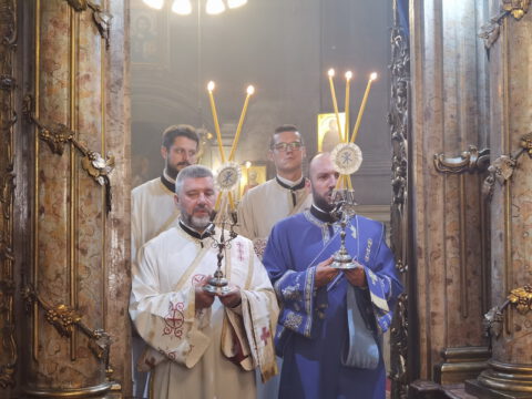 IMG_20230828_085037_resize