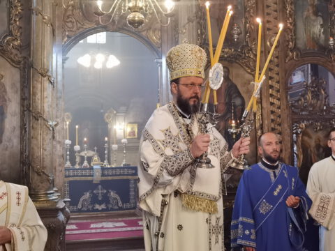 IMG_20230828_085106_resize