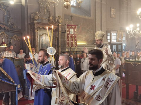 IMG_20230828_085134_resize