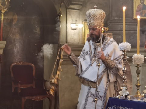 IMG_20230828_090852_resize