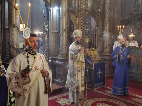 IMG_20230828_090955_resize