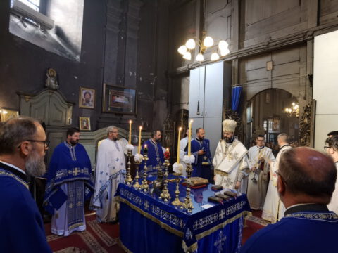 IMG_20230828_091153_resize