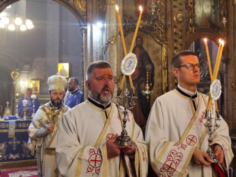 IMG_20230828_091239_resize