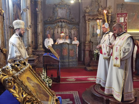 IMG_20230828_091329_resize