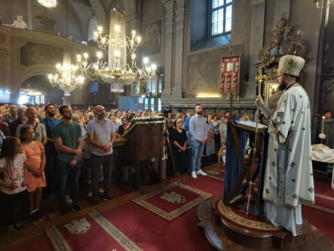 IMG_20230828_092943_resize