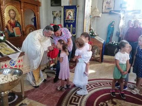 IMG_20230828_095434_resize