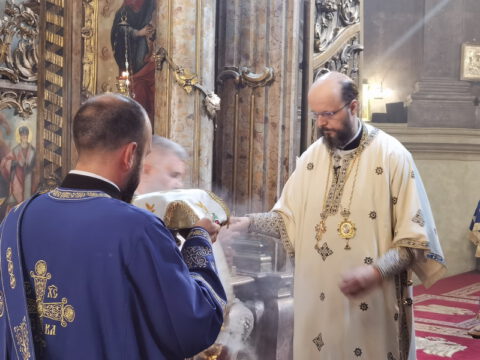 IMG_20230828_095435_resize