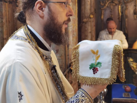 IMG_20230828_095538_resize