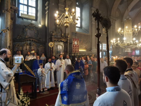 IMG_20230828_095549_resize