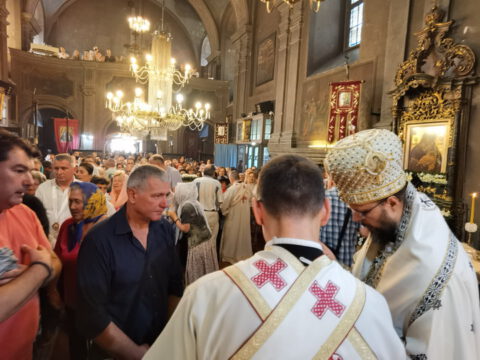 IMG_20230828_103341_resize