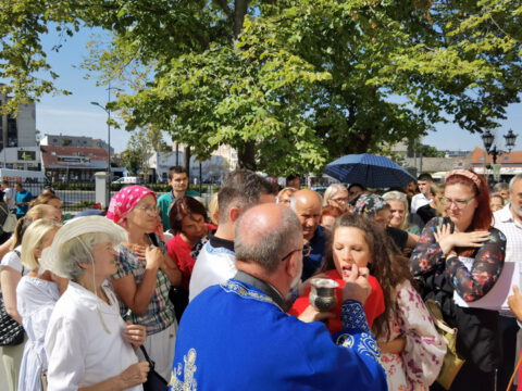 IMG_20230828_103728_resize