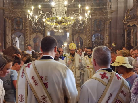 IMG_20230828_105218_resize